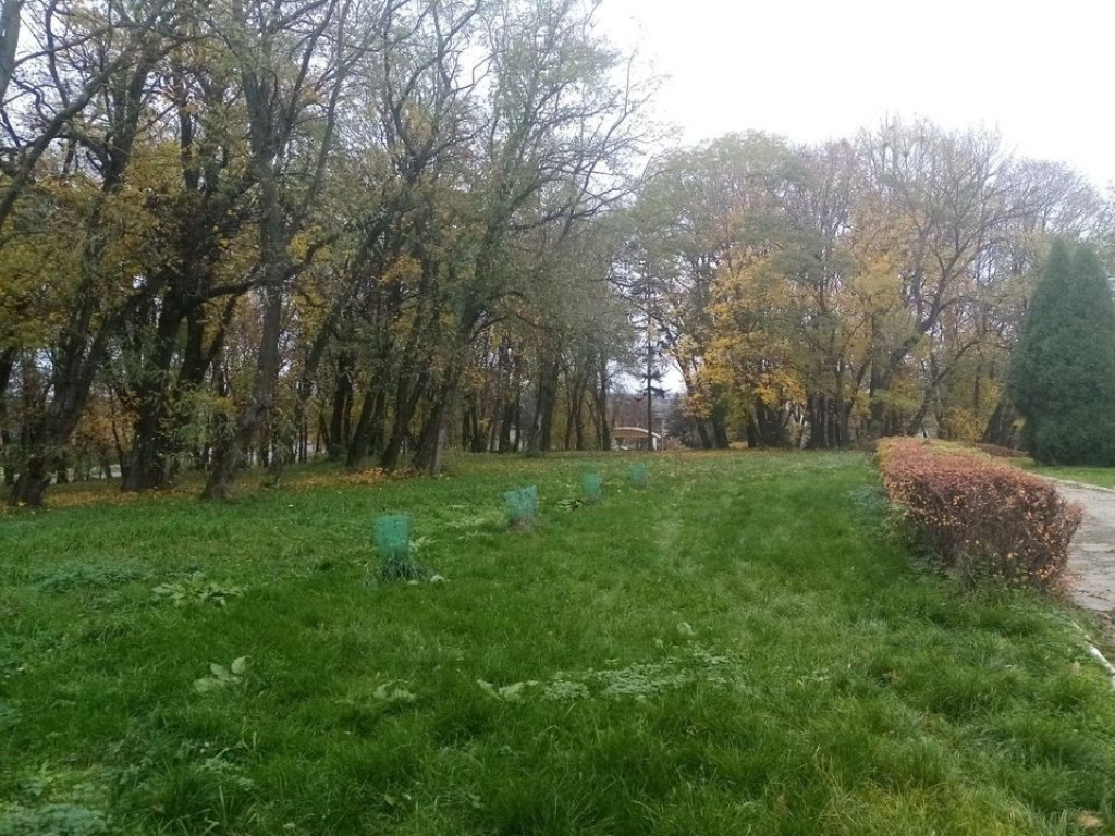 Listopadowy park i pałac w Werbkowicach - ZDJĘCIA, WIDEO