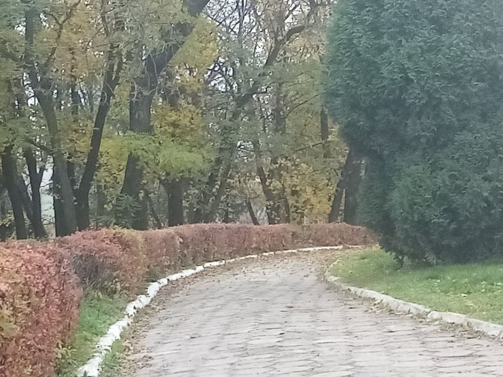 Listopadowy park i pałac w Werbkowicach - ZDJĘCIA, WIDEO