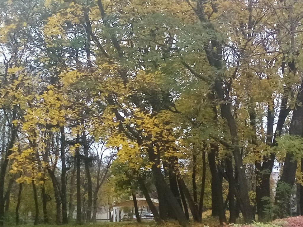 Listopadowy park i pałac w Werbkowicach - ZDJĘCIA, WIDEO