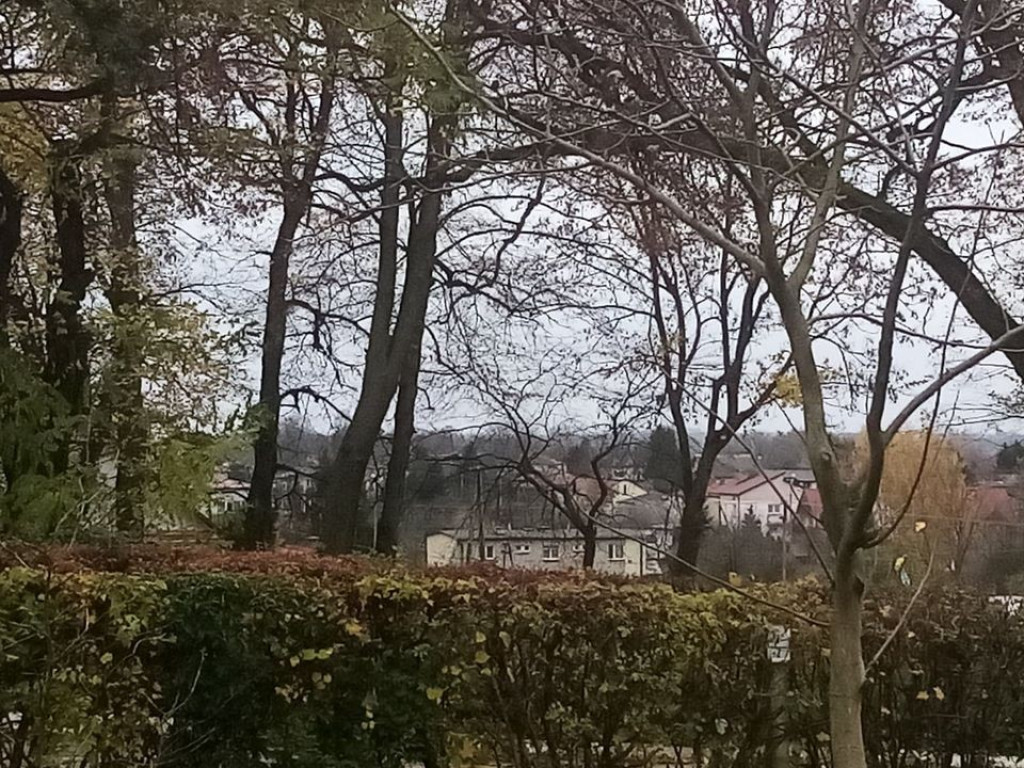 Listopadowy park i pałac w Werbkowicach - ZDJĘCIA, WIDEO