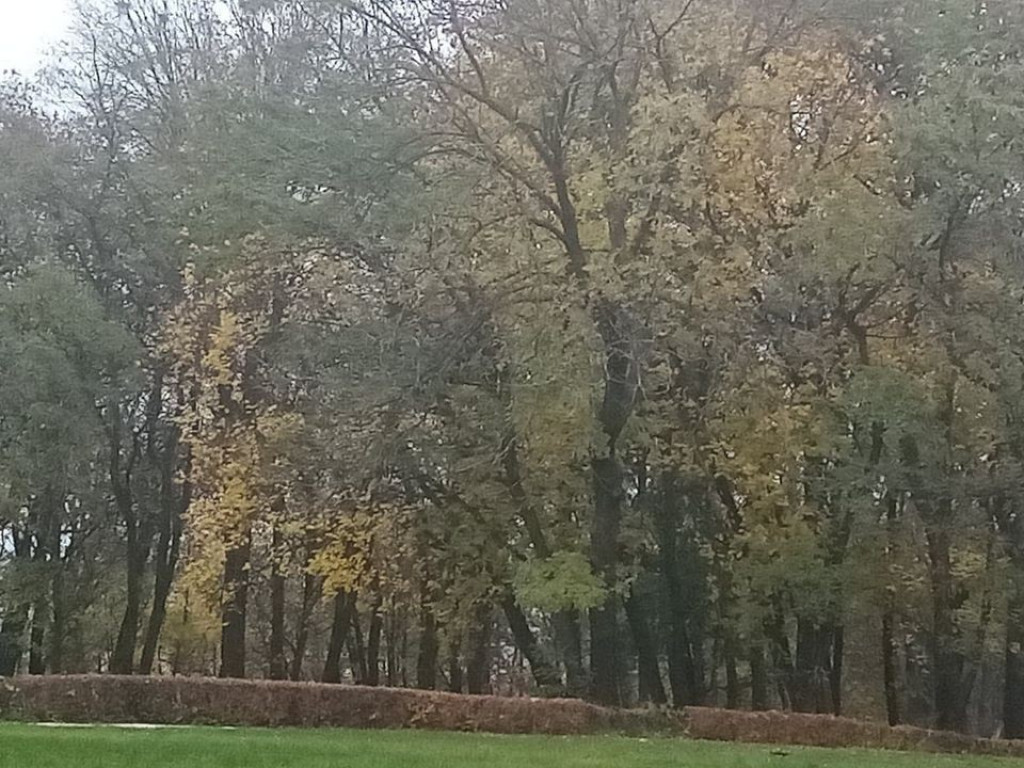 Listopadowy park i pałac w Werbkowicach - ZDJĘCIA, WIDEO