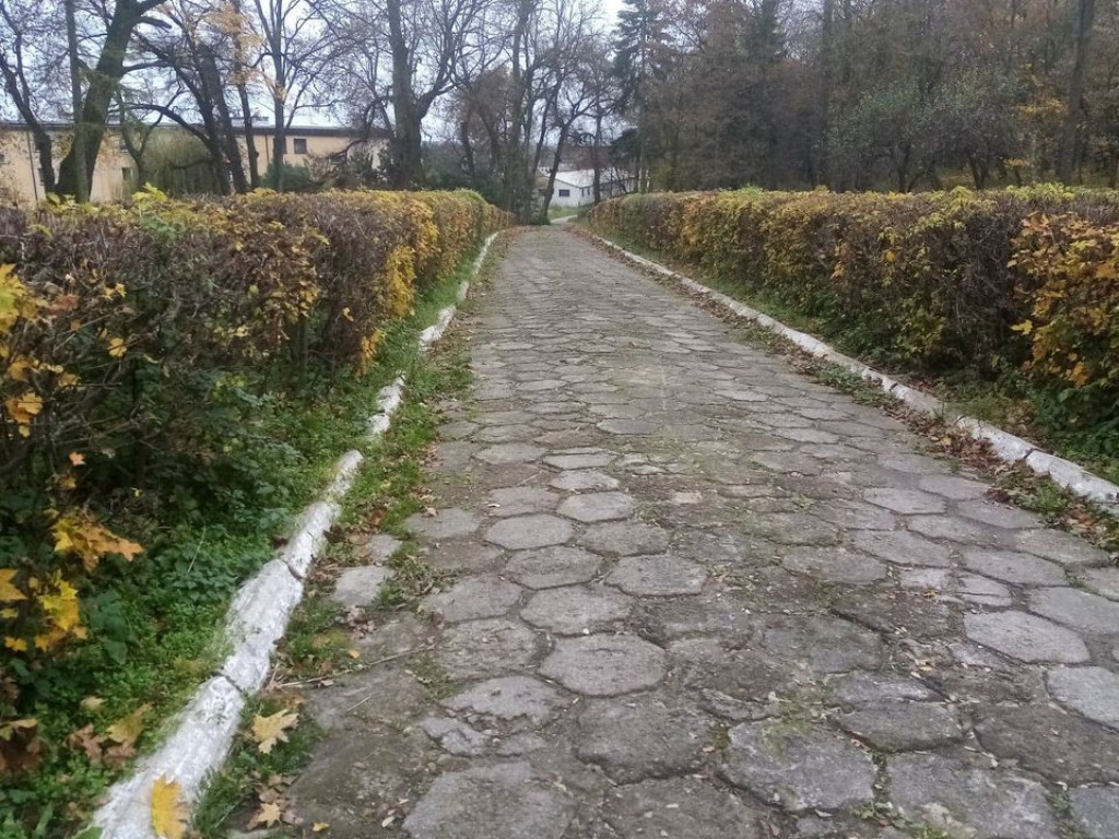 Listopadowy park i pałac w Werbkowicach - ZDJĘCIA, WIDEO