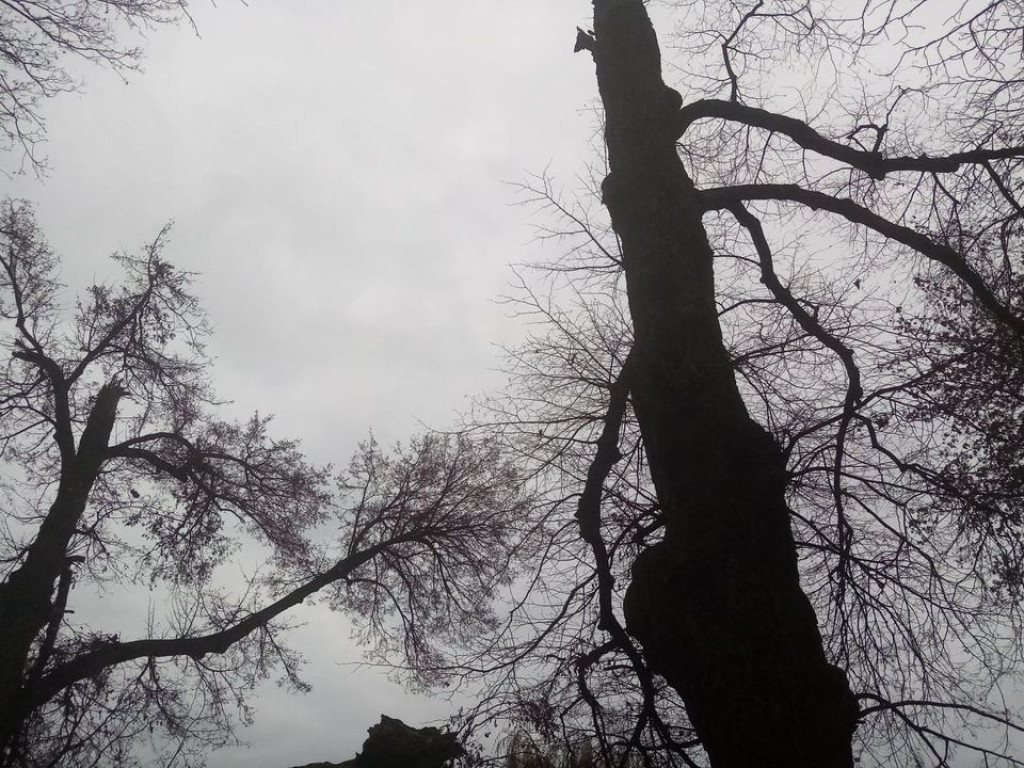 Listopadowy park i pałac w Werbkowicach - ZDJĘCIA, WIDEO