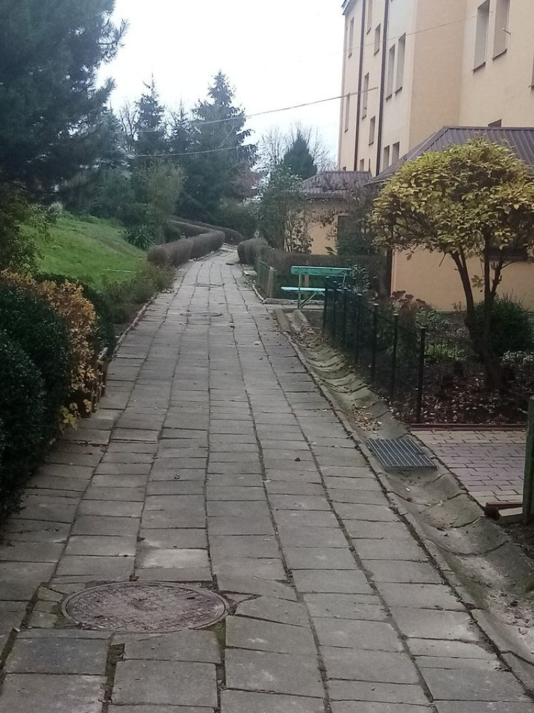 Listopadowy park i pałac w Werbkowicach - ZDJĘCIA, WIDEO