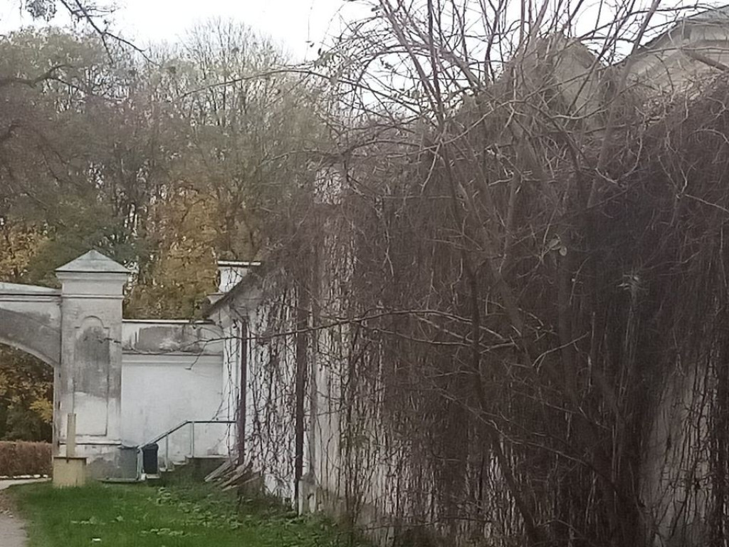 Listopadowy park i pałac w Werbkowicach - ZDJĘCIA, WIDEO
