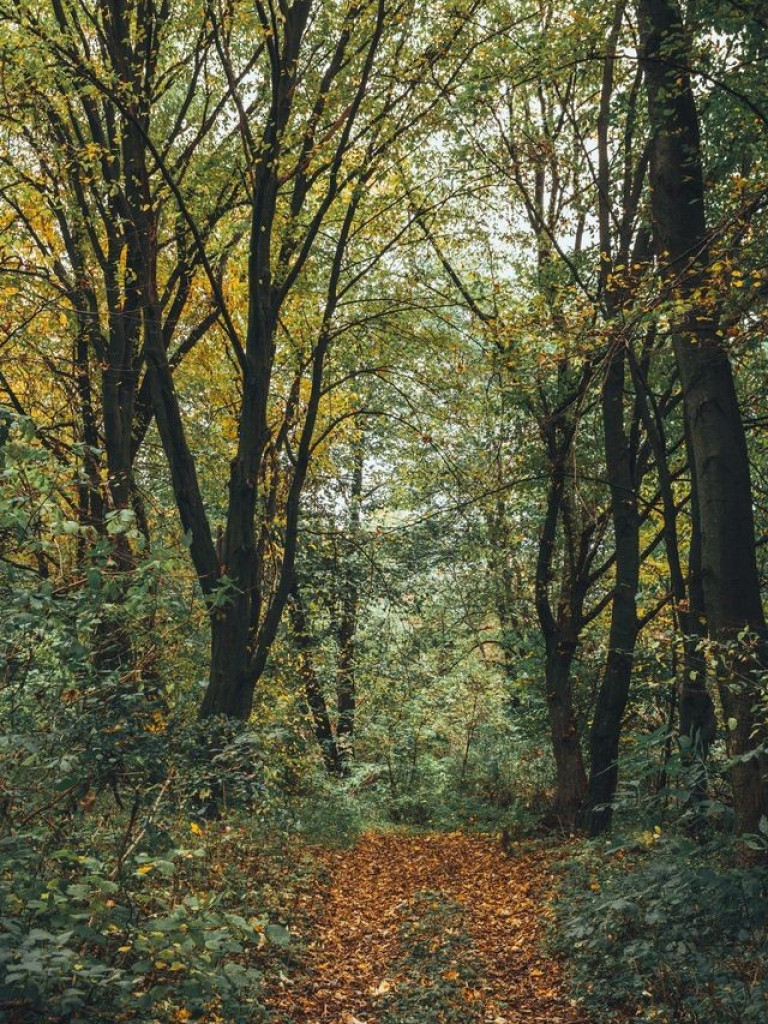 Jesień w Powiecie Hrubieszowskim - wyniki konkursu