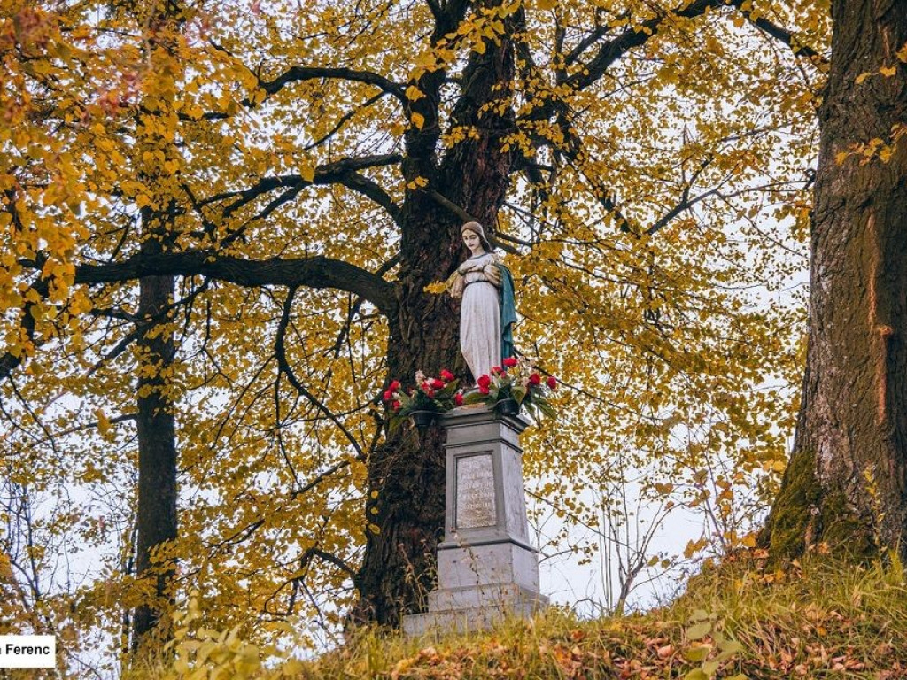 Jesień w Powiecie Hrubieszowskim - wyniki konkursu