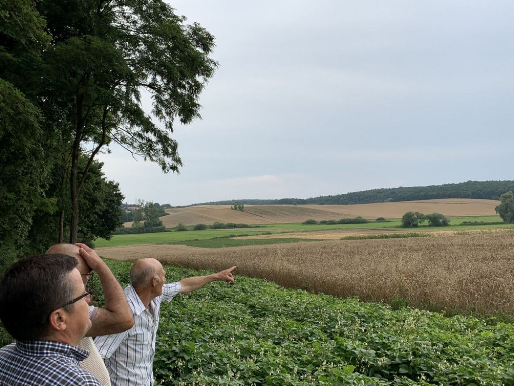 Odrobina historii na długie listopadowe wieczory