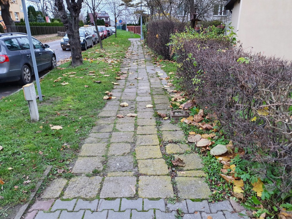 Hrubieszów: Rozpoczął się remont chodnika na ulicy Hubala - ZDJĘCIA