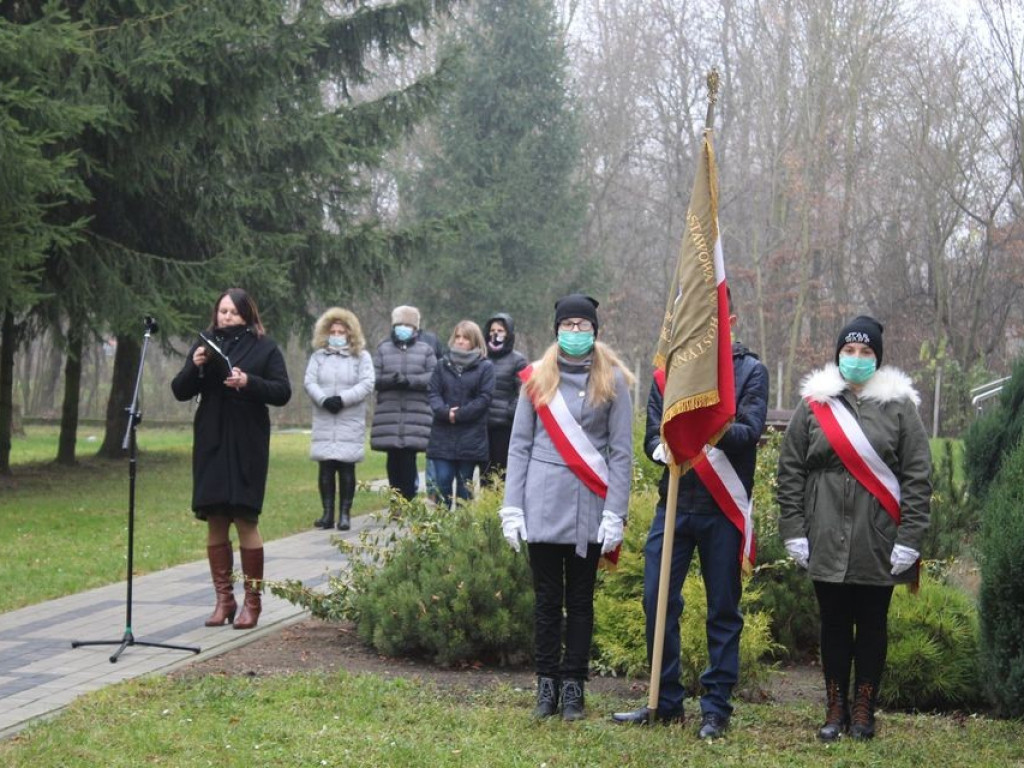 Pamiętamy - Dziękujemy. Odsłonięcie muralu patriotycznego w miejscowości Hostynne-Kolonia - ZDJĘCIA