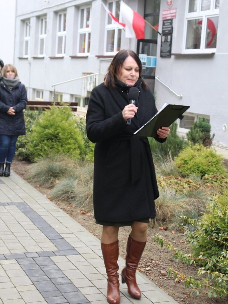 Pamiętamy - Dziękujemy. Odsłonięcie muralu patriotycznego w miejscowości Hostynne-Kolonia - ZDJĘCIA