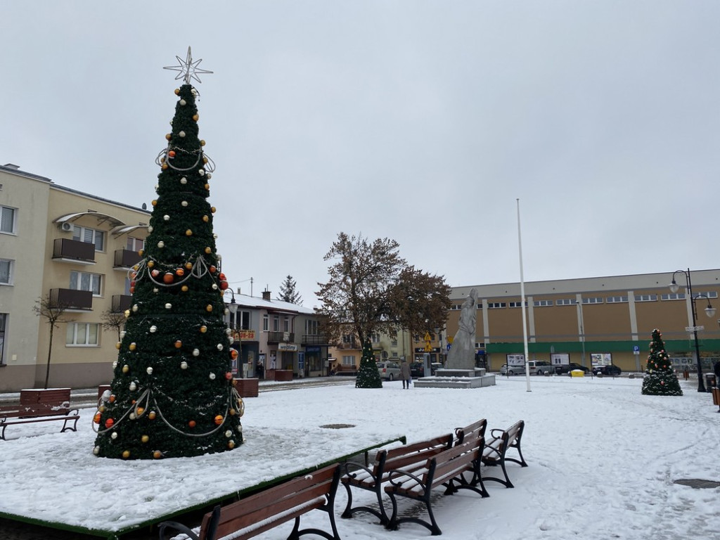 Choinki na hrubieszowskim rynku rozstawione. W tym roku lodowiska nie będzie - ZDJĘCIA