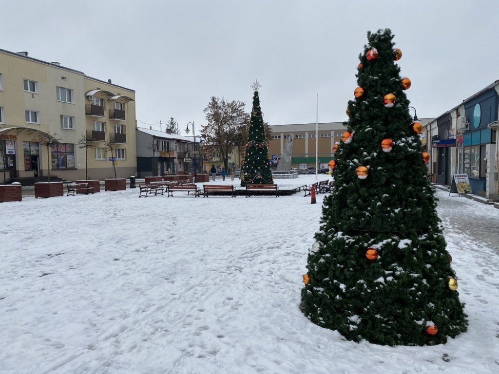 Choinki na hrubieszowskim rynku rozstawione. W tym roku lodowiska nie będzie - ZDJĘCIA