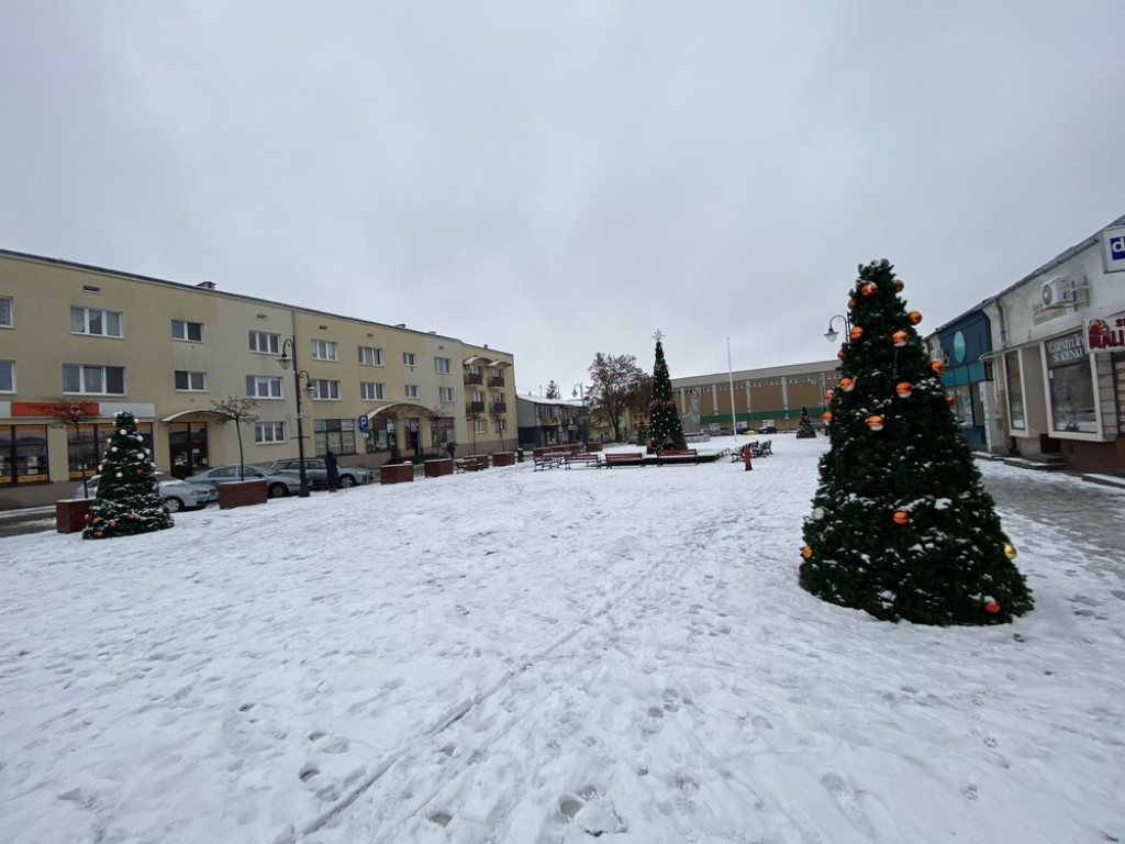 Choinki na hrubieszowskim rynku rozstawione. W tym roku lodowiska nie będzie - ZDJĘCIA