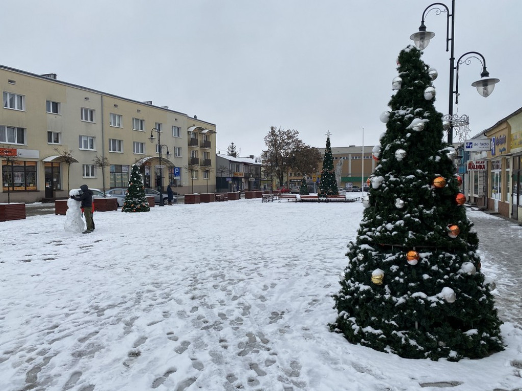 Choinki na hrubieszowskim rynku rozstawione. W tym roku lodowiska nie będzie - ZDJĘCIA
