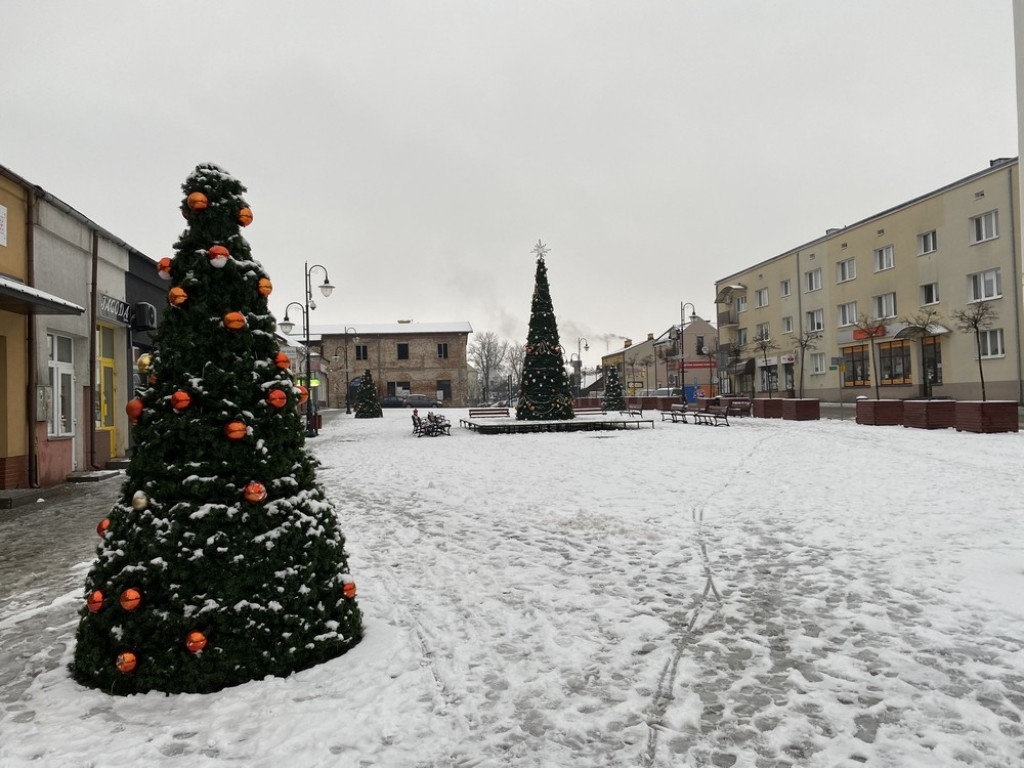 Choinki na hrubieszowskim rynku rozstawione. W tym roku lodowiska nie będzie - ZDJĘCIA
