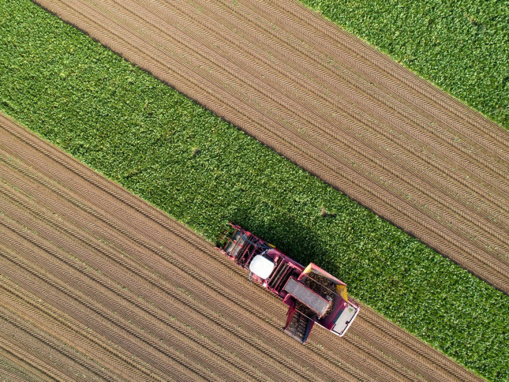 Krajowa Spółka Cukrowa podsumowuje kampanię cukrowniczą 2020/2021 - ZDJĘCIA