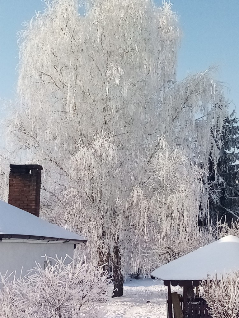 Piękne Werbkowice - ZDJĘCIA