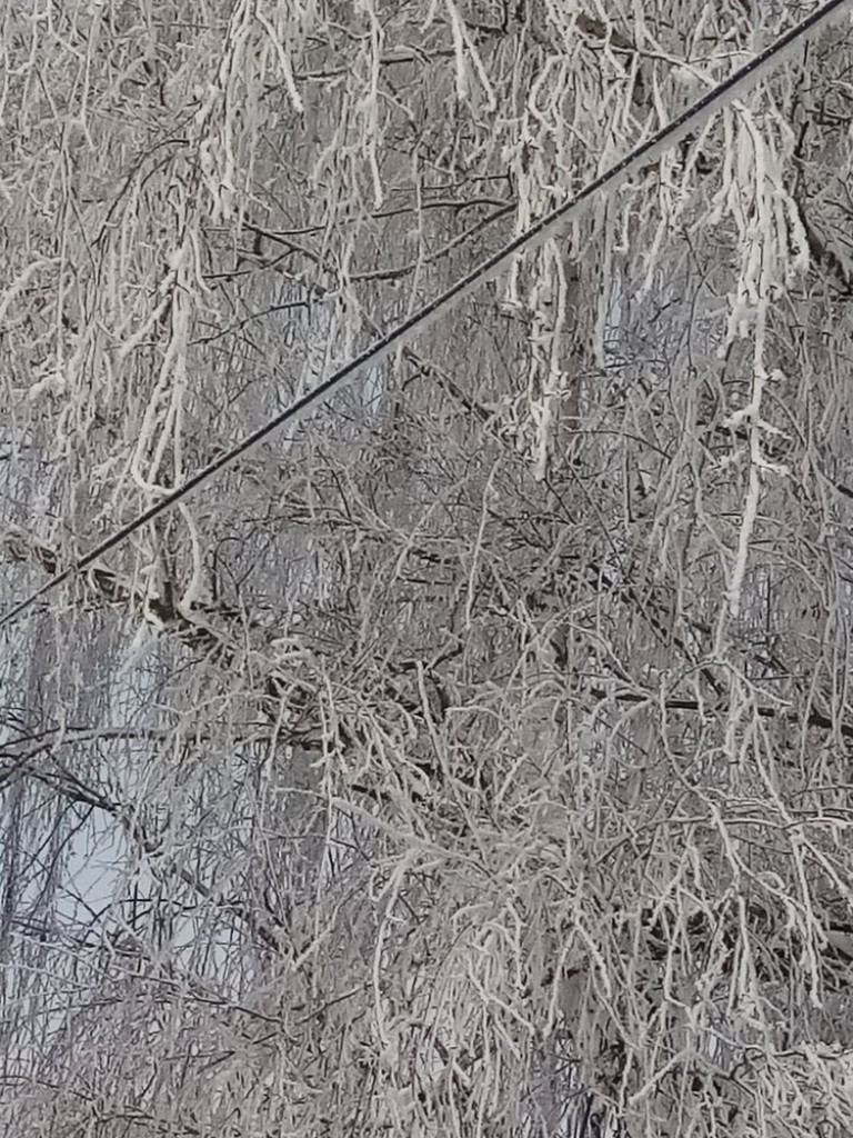 Piękne Werbkowice - ZDJĘCIA
