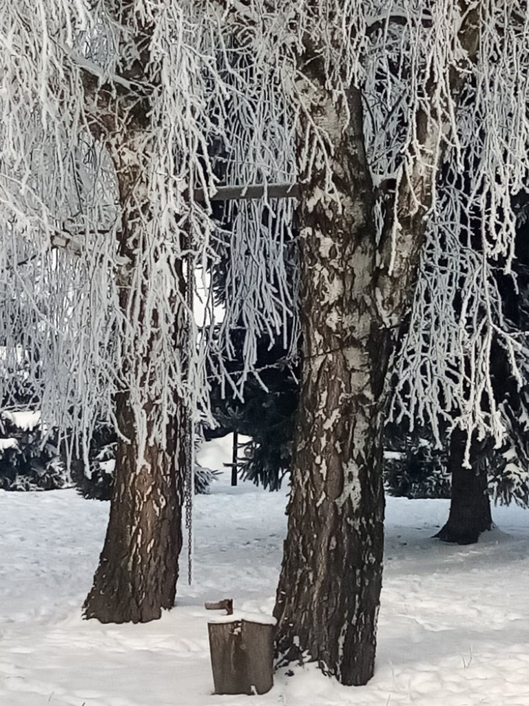 Piękne Werbkowice - ZDJĘCIA