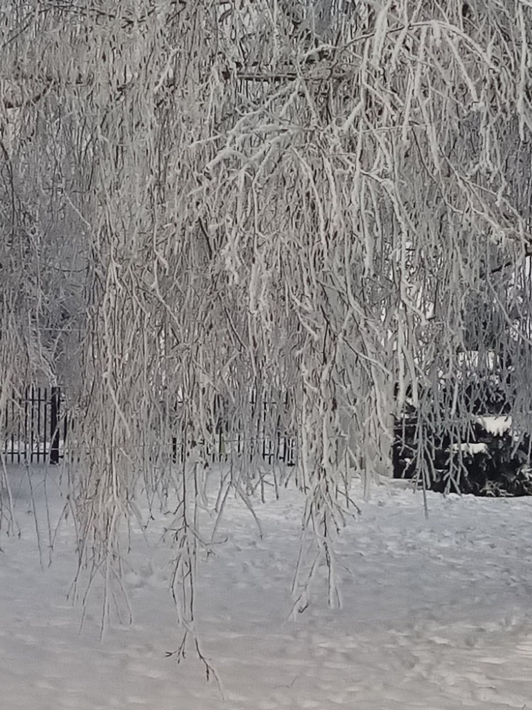 Piękne Werbkowice - ZDJĘCIA