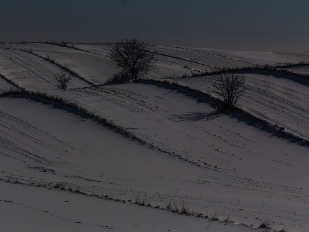 Nocne zdjęcia Trzeszczan