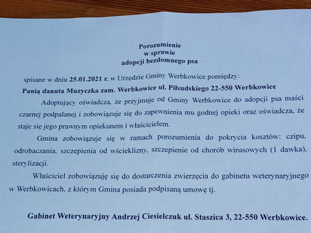 Rocki z Werbkowic c.d. - ZDJĘCIA