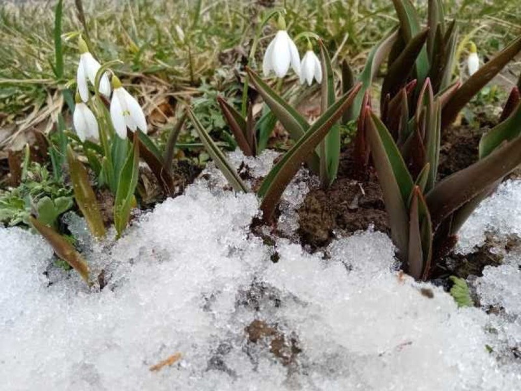 Pierwszy dzień wiosny w hrubieszowskiej Dwójce - ZDJĘCIA