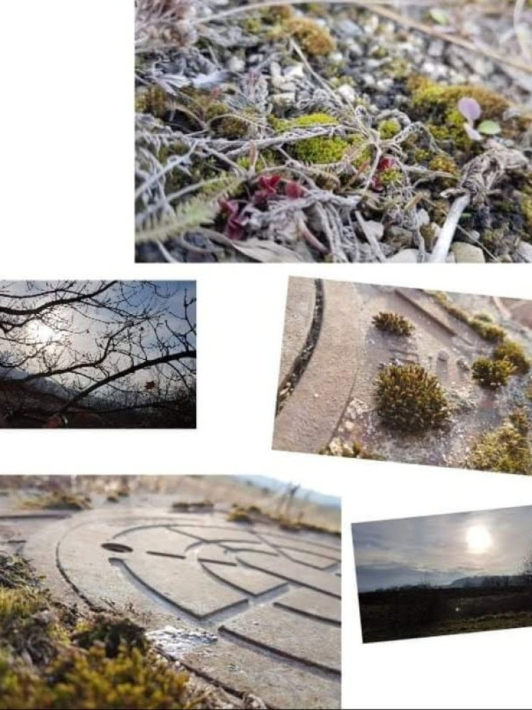 Pierwszy dzień wiosny w hrubieszowskiej Dwójce - ZDJĘCIA