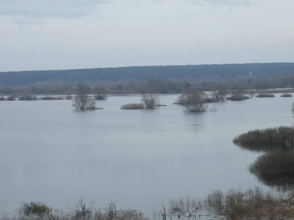 Pierwszy dzień wiosny w hrubieszowskiej Dwójce - ZDJĘCIA