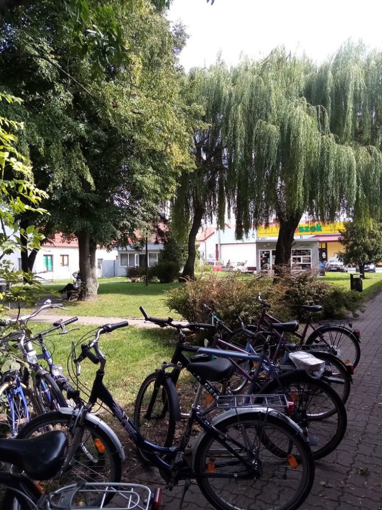 Centrum sensu i biznesu w Werbkowicach - ZDJĘCIA