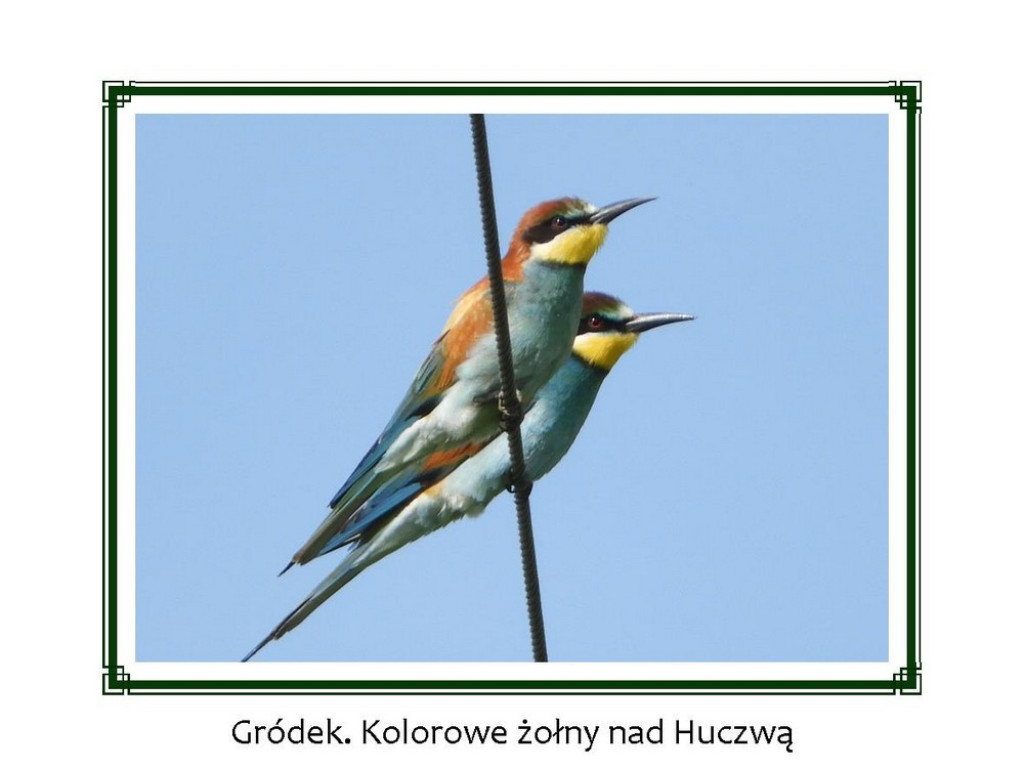 Nad Huczwą - wystawa online - ZDJĘCIA
