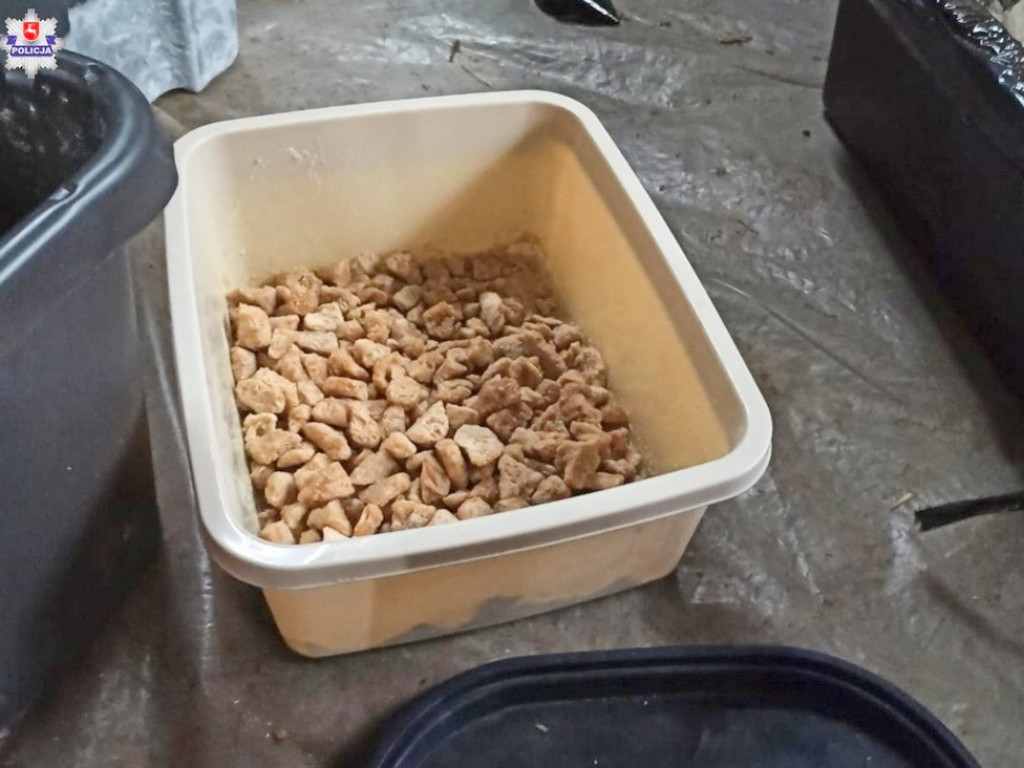 Narkotykowe laboratorium na terenie hodowli psów - WIDEO, ZDJĘCIA