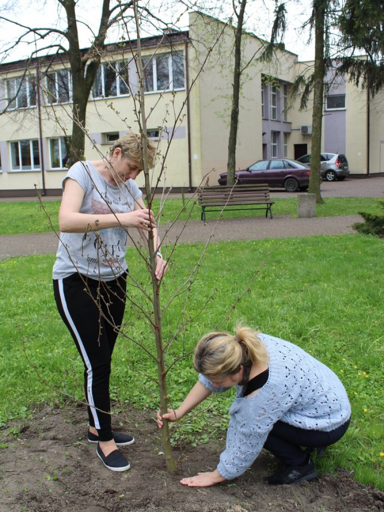 Święto Ziemi w gminie Werbkowice - ZDJĘCIA