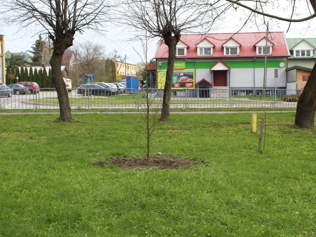 Święto Ziemi w gminie Werbkowice - ZDJĘCIA