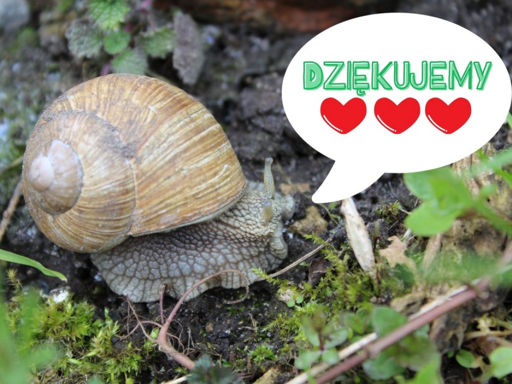 Święto Ziemi w gminie Werbkowice - ZDJĘCIA