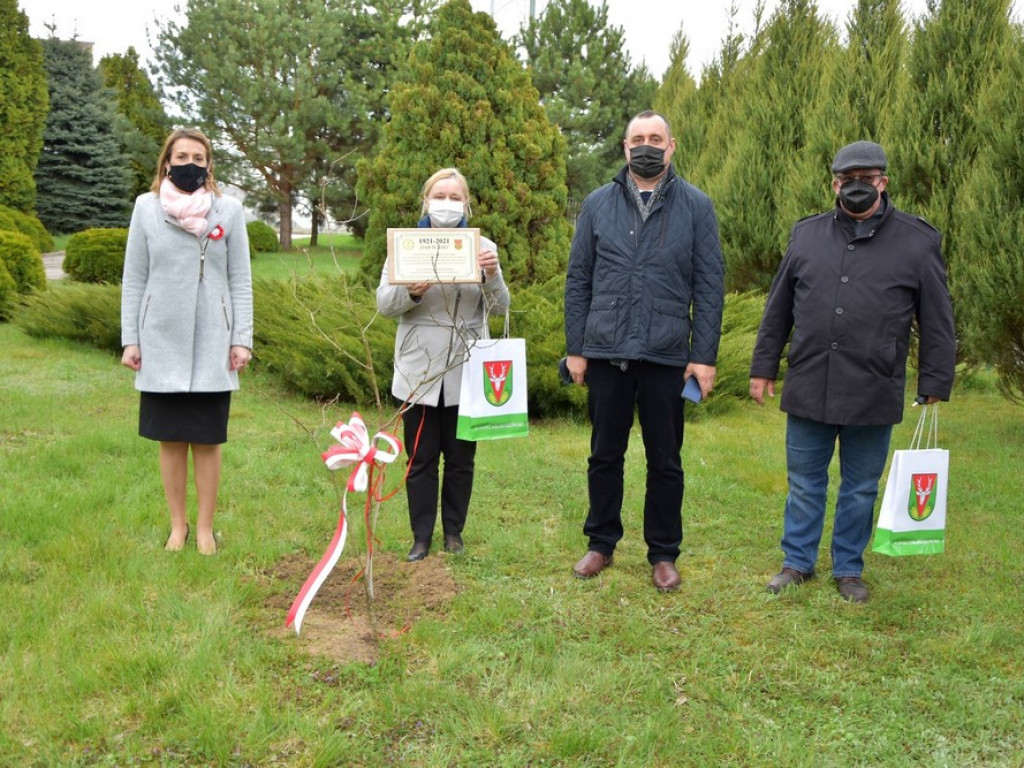 Hrubieszów: Zasadzili Dąb Śląski - ZDJĘCIA