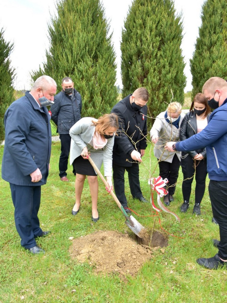 Hrubieszów: Zasadzili Dąb Śląski - ZDJĘCIA
