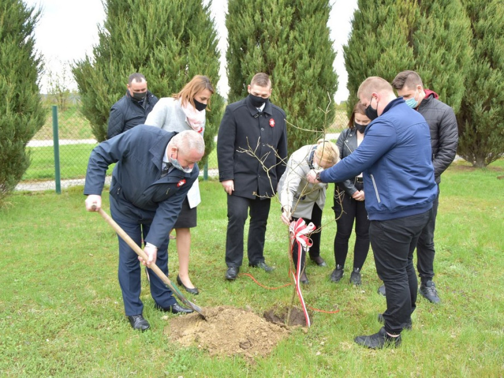 Hrubieszów: Zasadzili Dąb Śląski - ZDJĘCIA