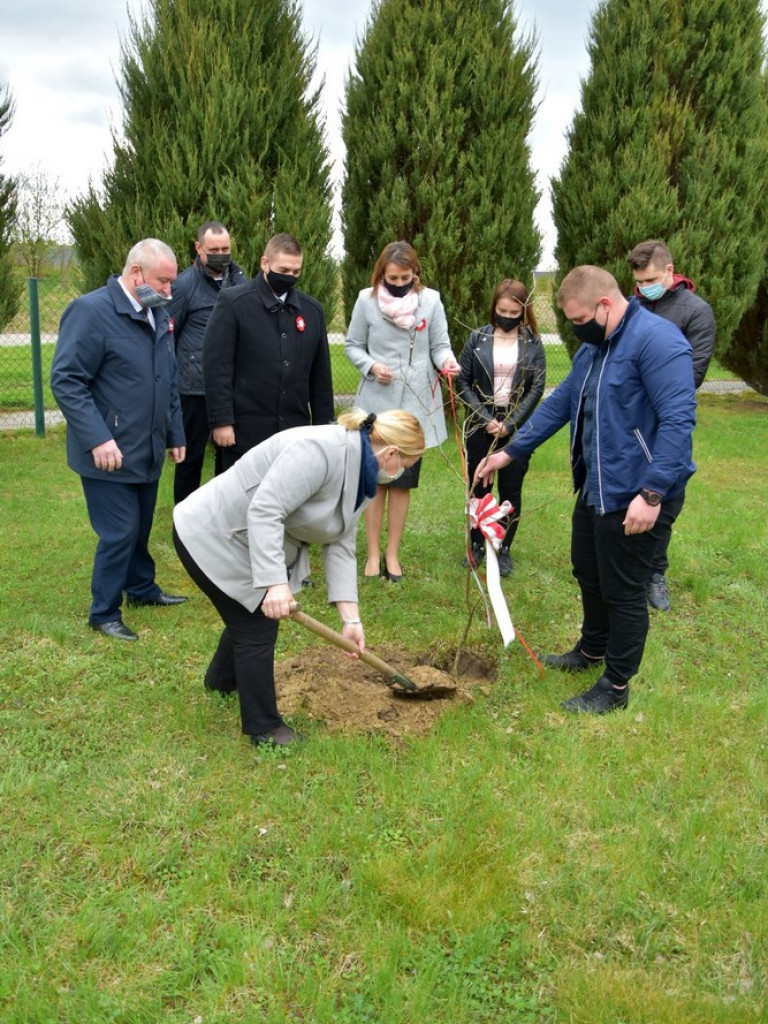 Hrubieszów: Zasadzili Dąb Śląski - ZDJĘCIA