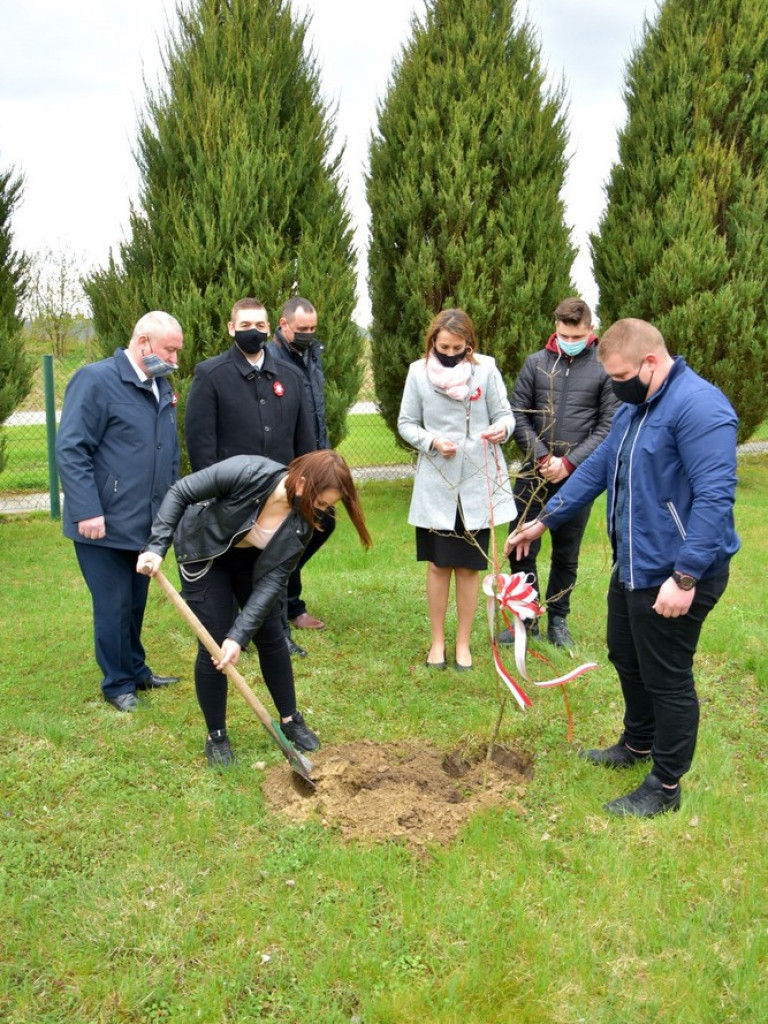 Hrubieszów: Zasadzili Dąb Śląski - ZDJĘCIA
