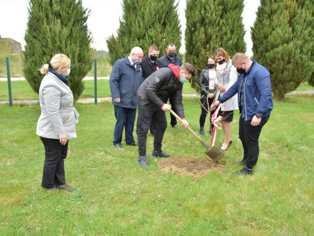 Hrubieszów: Zasadzili Dąb Śląski - ZDJĘCIA
