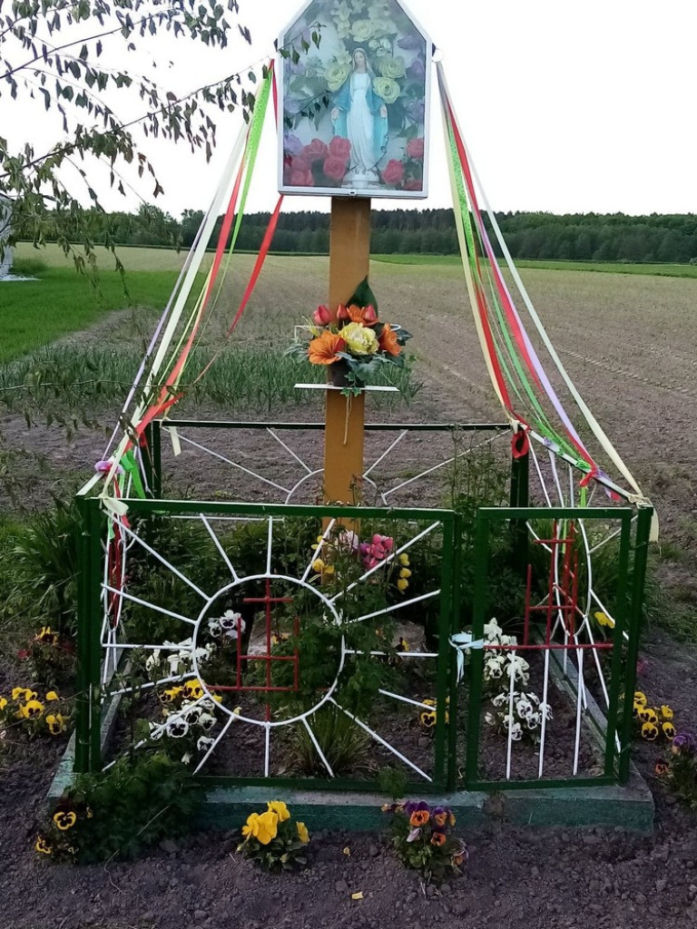 Gmina Werbkowice: W poszukiwaniu żołny, w Kolonii Podhorce - ZDJĘCIA, WIDEO