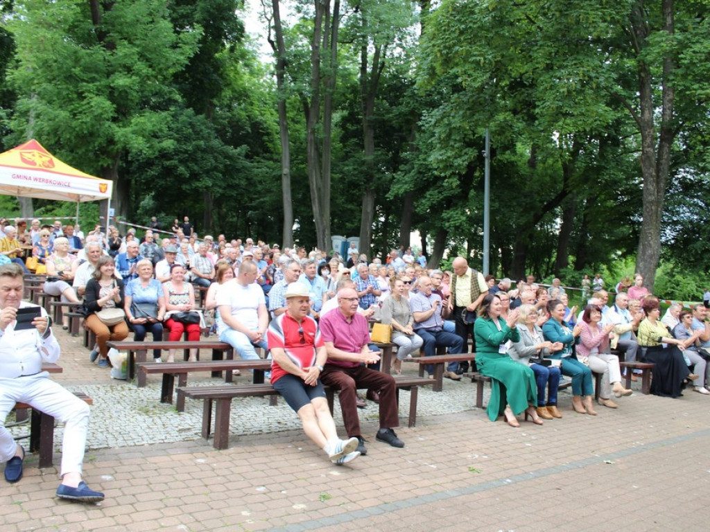 Za nami XI Wojewódzki Festiwal Kapel Ulicznych i Podwórkowych - Werbkowice 2021 - ZDJĘCIA