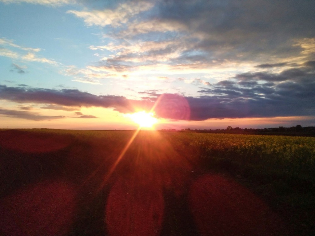 Hrubieszów: Uczniowie ZS nr 1 dostrzegli piękno świata - ZDJĘCIA