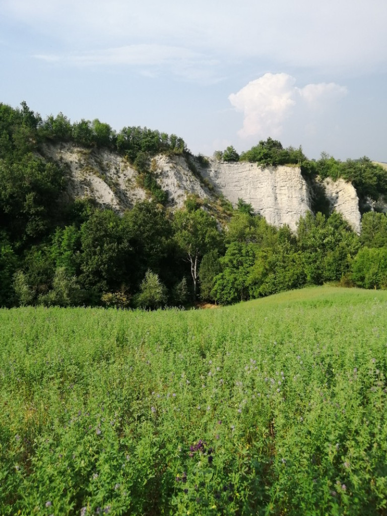 Hrubieszów: Uczniowie ZS nr 1 dostrzegli piękno świata - ZDJĘCIA