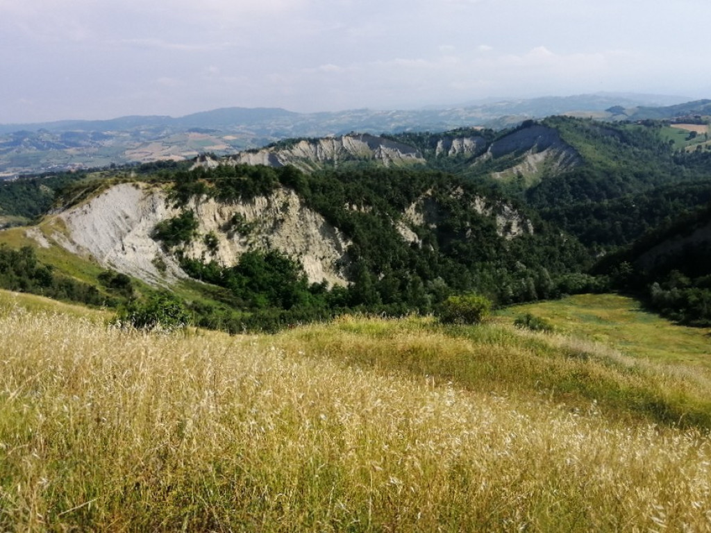 Hrubieszów: Uczniowie ZS nr 1 dostrzegli piękno świata - ZDJĘCIA