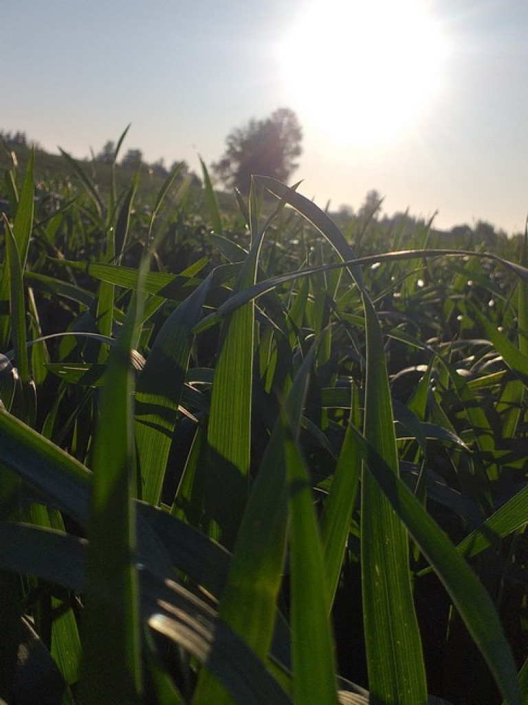 Hrubieszów: Uczniowie ZS nr 1 dostrzegli piękno świata - ZDJĘCIA