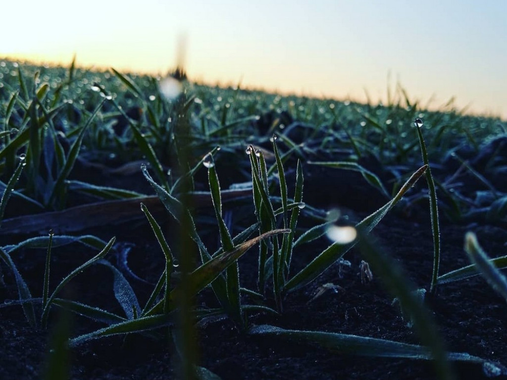 Hrubieszów: Uczniowie ZS nr 1 dostrzegli piękno świata - ZDJĘCIA