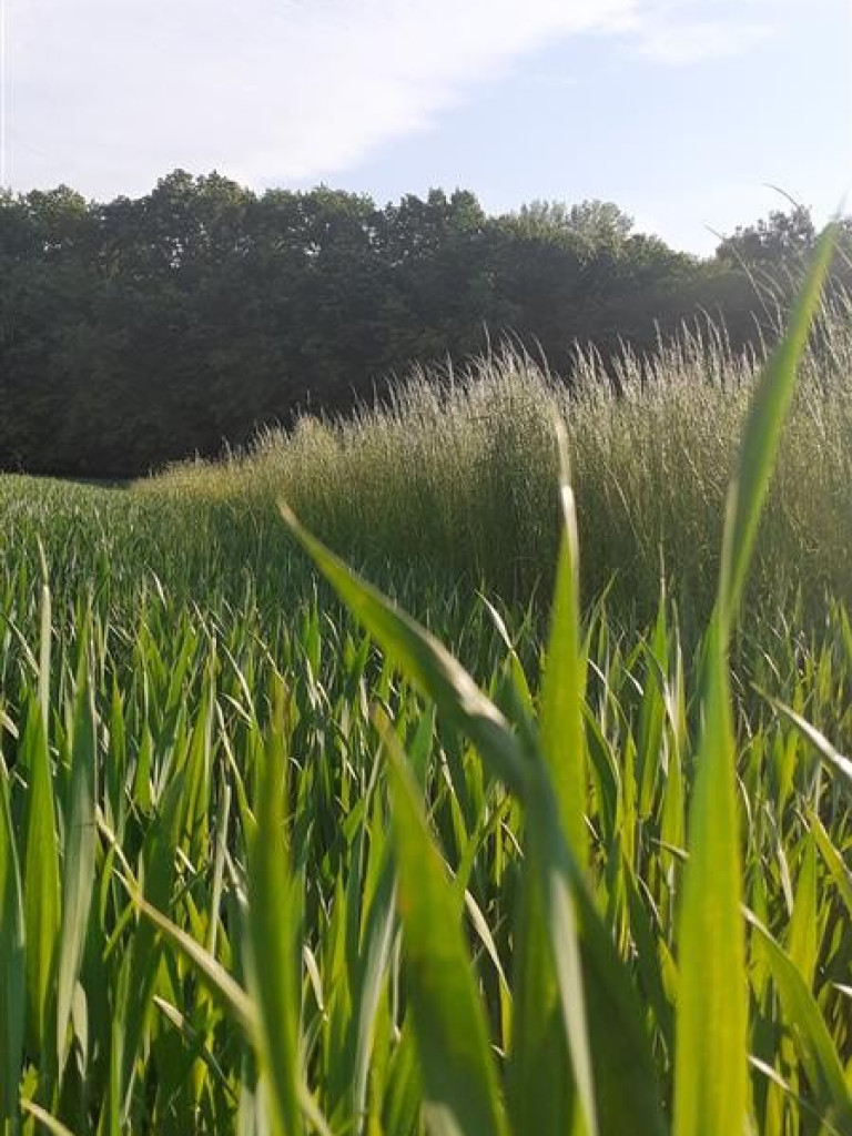 Hrubieszów: Uczniowie ZS nr 1 dostrzegli piękno świata - ZDJĘCIA